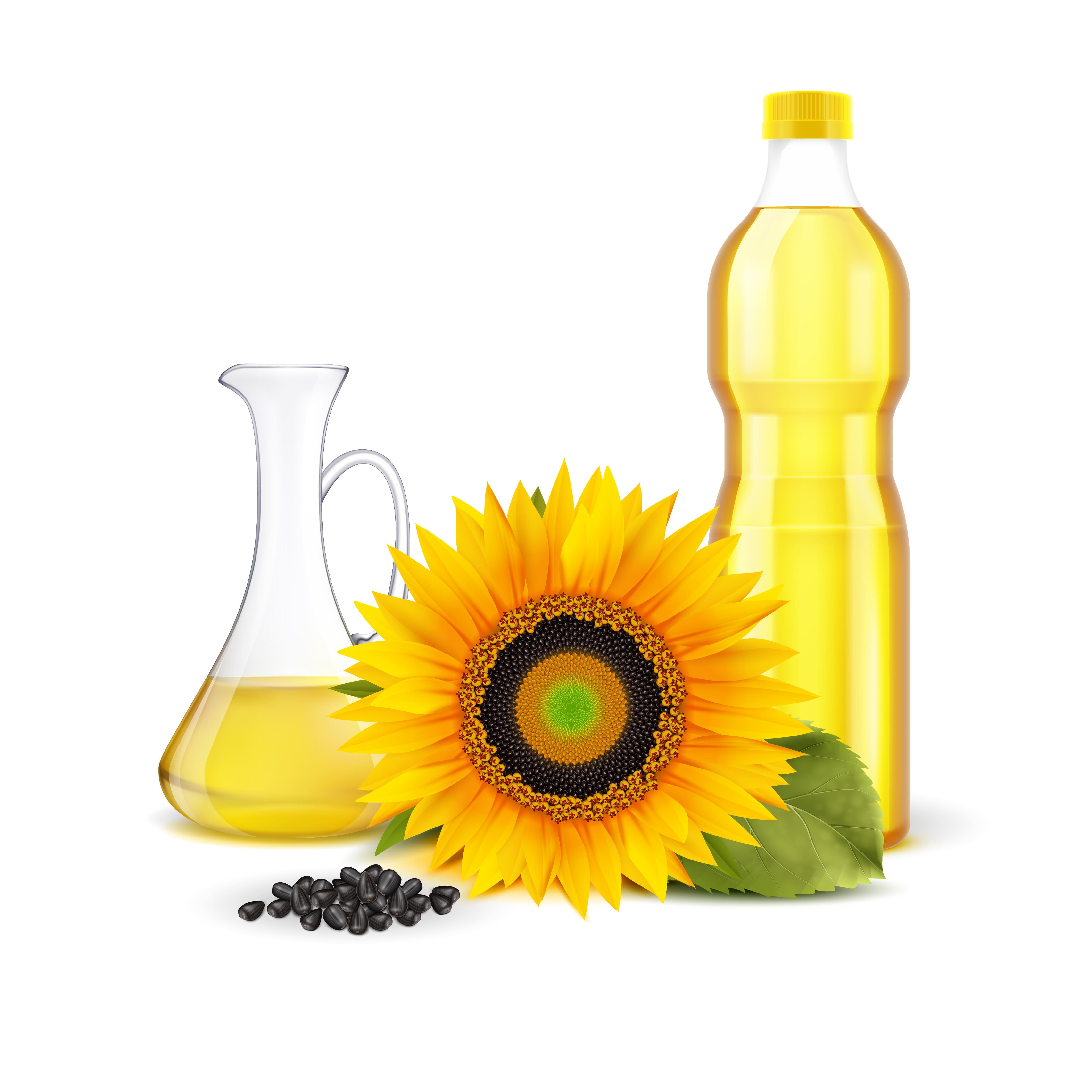 Sunflower Oil