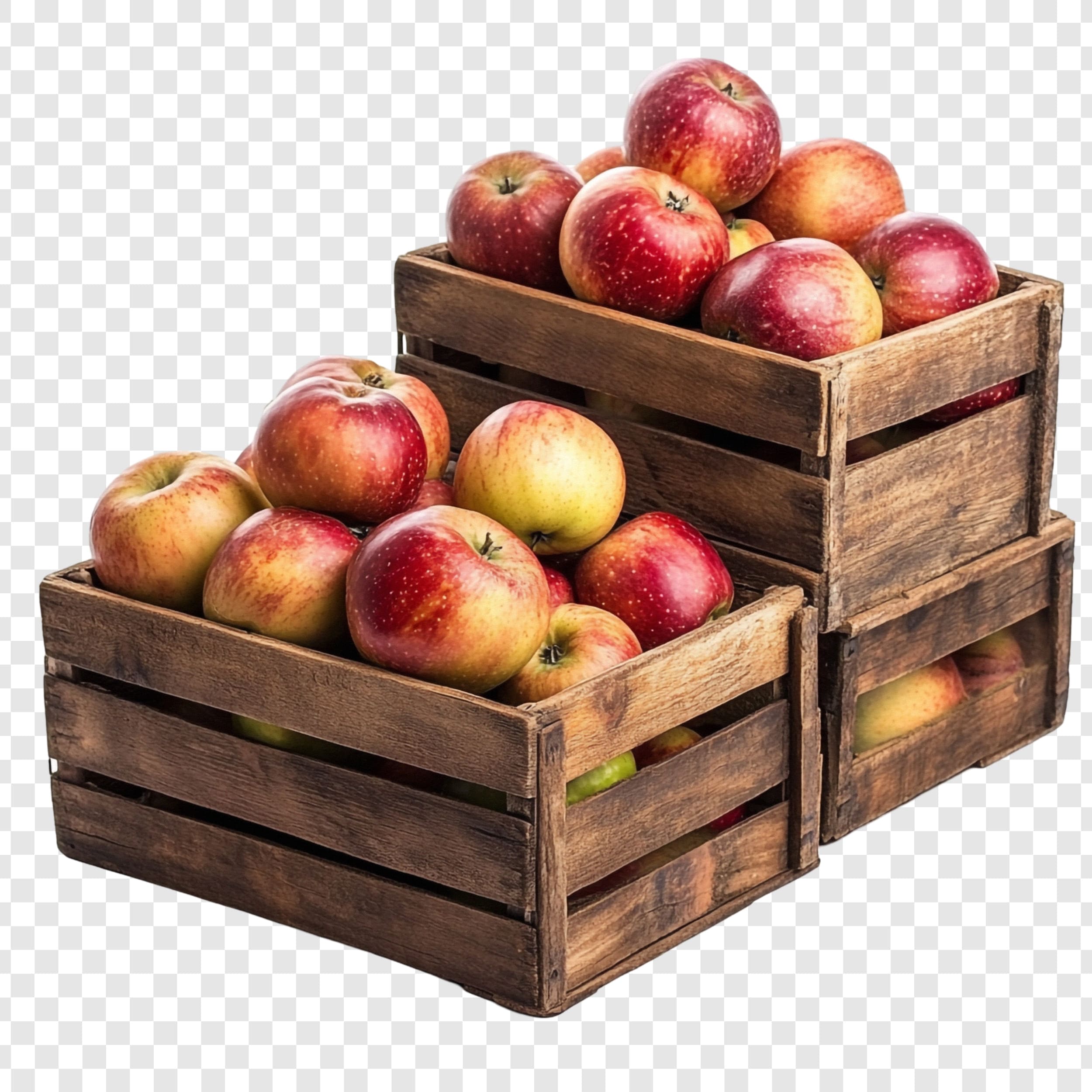 Apples